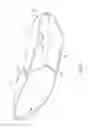 Fig. 03 - Shoe tree