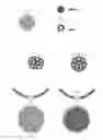 Fig. 02 - PROCESS TO ADORN OR ENHANCE BIJOUTERIE