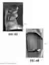 Fig. 06 - Dye-free nail varnish compositions and methods thereof