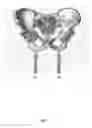 Fig. 02 - Cantilever seat