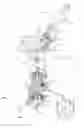 Fig. 01 - Machine of the piston type for dispensing coffee or other brewed beverages