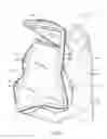 Fig. 07 - Insulated container assembly with thermal storage accommodation