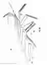 Fig. 07 - Wine glass drying rack