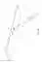Fig. 59 - Endoscope with pannable camera