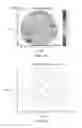 Fig. 04 - Method and system for three-dimensional thickness mapping of corneal micro-layers and corneal diagnoses