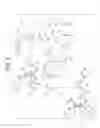 Fig. 03 - Subjective optometry apparatus, subjective optometry method, and recording medium storing subjective optometry program