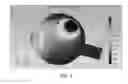 Fig. 05 - Materials and methods for non-invasively measuring temperature distribution in the eye