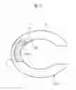 Fig. 08 - PULSE WAVE DETECTING DEVICE