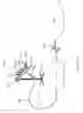 Fig. 09 - DETECTION OF PERIPHERAL ARTERIAL DISEASE