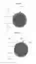 Fig. 09 - Sensors for measuring skin conductivity and methods for manufacturing the same