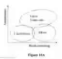 Fig. 23 - Intravascular measurement and data collection systems, apparatus and methods