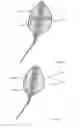 Fig. 08 - Retrieval device