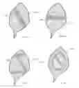 Fig. 09 - Retrieval device