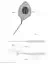 Fig. 11 - Retrieval device