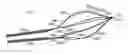 Fig. 01 - MEDICAL RETRIEVAL DEVICES AND METHODS