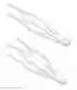 Fig. 01 - BIFURCATED FORCEPS