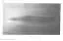 Fig. 02 - BIFURCATED FORCEPS