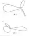 Fig. 04 - ADJUSTABLE WIRE HOOK FOR ORTHODONTIC ELASTICS