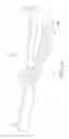 Fig. 24 - ATRAUMATIC MEDICAL DEVICE ANCHORING AND DELIVERY SYSTEM WITH ENHANCED ANCHORING