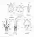 Fig. 25 - ATRAUMATIC MEDICAL DEVICE ANCHORING AND DELIVERY SYSTEM WITH ENHANCED ANCHORING