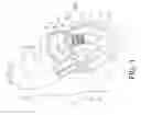 Fig. 02 - Transcatheter atrio-ventricular valve prosthesis