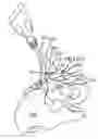 Fig. 01 - Methods of fusing a sacroiliac joint with a fluted screw delivered across the sacroiliac joint