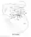 Fig. 79 - Methods of fusing a sacroiliac joint with a fluted screw delivered across the sacroiliac joint