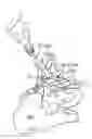 Fig. 01 - Methods of fusing a sacroiliac joint with a threaded joint fixation screw having a plurality of openings therein