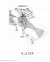 Fig. 87 - Methods of fusing a sacroiliac joint with a threaded joint fixation screw having a plurality of openings therein