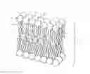 Fig. 01 - Elastomeric articles having skin care properties and methods for their production