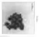 Fig. 02 - FORMULATIONS INCLUDING SILVER NANOPARTICLES AND METHODS OF USING THE SAME