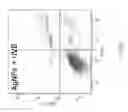 Fig. 12 - FORMULATIONS INCLUDING SILVER NANOPARTICLES AND METHODS OF USING THE SAME