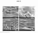 Fig. 08 - METHOD FOR PREPARING HYDROGEL CONTAINING REDUCED GRAPHENE OXIDE