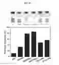 Fig. 09 - METHOD FOR PREPARING HYDROGEL CONTAINING REDUCED GRAPHENE OXIDE