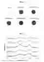 Fig. 11 - METHOD FOR PREPARING HYDROGEL CONTAINING REDUCED GRAPHENE OXIDE