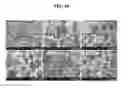 Fig. 12 - METHOD FOR PREPARING HYDROGEL CONTAINING REDUCED GRAPHENE OXIDE