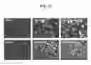Fig. 15 - METHOD FOR PREPARING HYDROGEL CONTAINING REDUCED GRAPHENE OXIDE