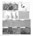 Fig. 22 - WNT compositions and methods for purification