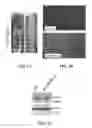 Fig. 02 - EXOSOMAL COMPOSITIONS AND METHODS FOR THE TREATMENT OF DISEASE