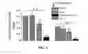Fig. 06 - EXOSOMAL COMPOSITIONS AND METHODS FOR THE TREATMENT OF DISEASE
