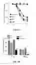 Fig. 07 - EXOSOMAL COMPOSITIONS AND METHODS FOR THE TREATMENT OF DISEASE