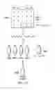 Fig. 22 - Transdermal patch with separated regions for delivery of immunomodulators