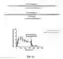 Fig. 09 - Rivastigmine transdermal compositions and methods of using the same