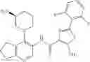Fig. 110 - Thiazolecarboxamides and pyridinecarboxamide compounds useful as Pim kinase inhibitors