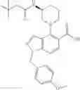 Fig. 176 - Thiazolecarboxamides and pyridinecarboxamide compounds useful as Pim kinase inhibitors