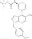 Fig. 178 - Thiazolecarboxamides and pyridinecarboxamide compounds useful as Pim kinase inhibitors