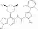 Fig. 221 - Thiazolecarboxamides and pyridinecarboxamide compounds useful as Pim kinase inhibitors