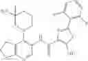 Fig. 247 - Thiazolecarboxamides and pyridinecarboxamide compounds useful as Pim kinase inhibitors