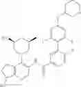 Fig. 313 - Thiazolecarboxamides and pyridinecarboxamide compounds useful as Pim kinase inhibitors