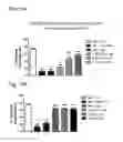 Fig. 20 - Systems and methods for treating an opioid-induced adverse pharmacodynamic response